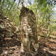 Imagen para el artículo titulado Descubren la ciudad Maya perdida de Chactún en una selva de México